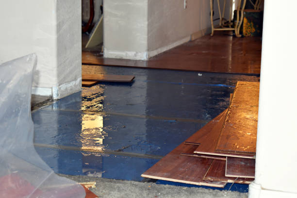 Professional Flood Cleanup technician working in Hamburg, IA